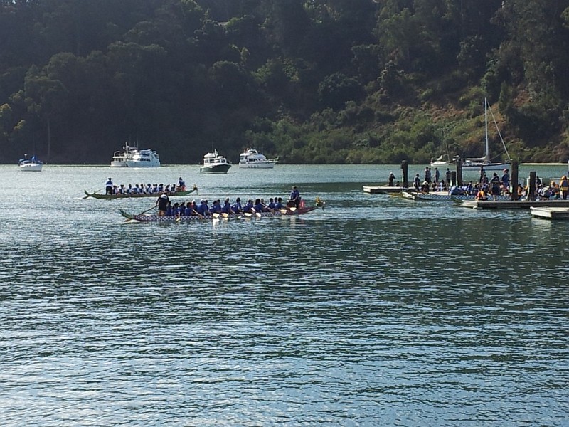 Paddling to the start line.jpg.jpg