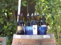 Wine Tasting