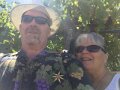 2015 Harvest Wine Festival
