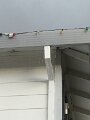 2015 November Hail
