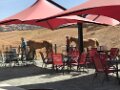 2017-10 Girls Wine Tasting