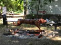 2017 Pig Roast 12