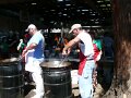Gilroy Garlic Fest 2007