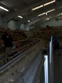 2013 Golden State Model RR