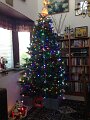 2013 Christmas