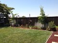 Back Fence Renovation