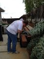 Back Yard Renovation
