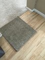 New Carpet