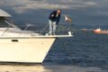 Cruise Out