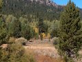 2005 Hope Valley Fall