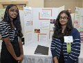 TVSEF 2011