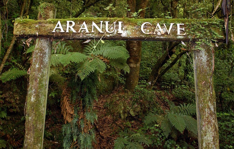 aranui cave.JPG -                                