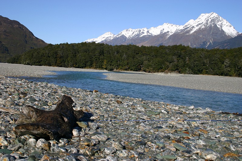 driftwood at narrows.jpg