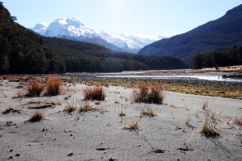 tussock exiting rockburn.jpg