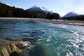 2. Dart River Safari's