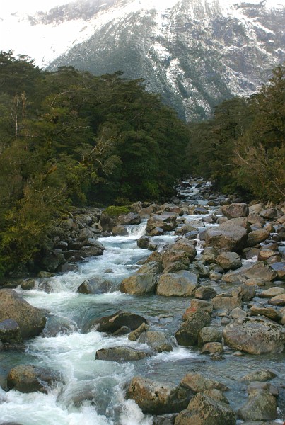 CLEDDAU RIVER.JPG