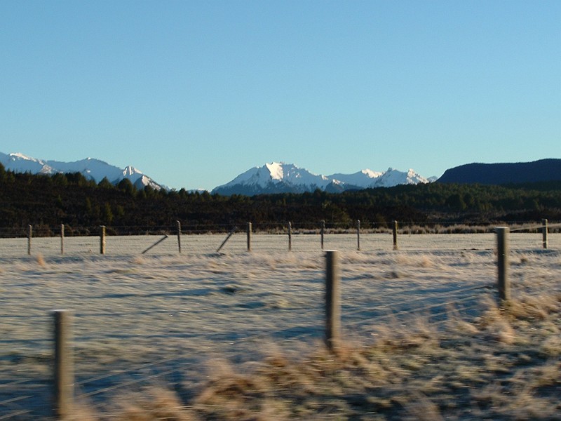 TE ANAU FARMS.JPG