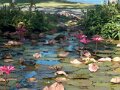 4 Turtle Pond