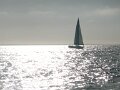 Leg Three & Cabo San Lucas