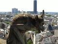 Notre Dame
