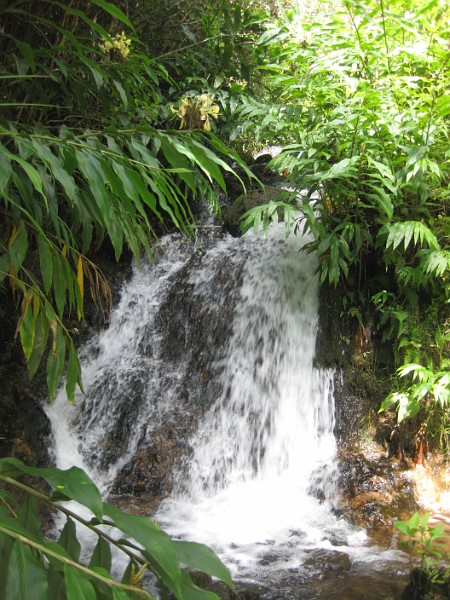 Bamboo Falls.JPG