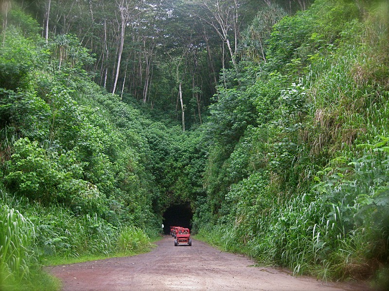 Through Tunnel.JPG