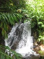 Bamboo Falls