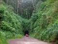 Through Tunnel