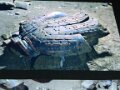Xian - Terra Cotta Warriors