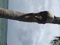 2015-12-02 Savusavu