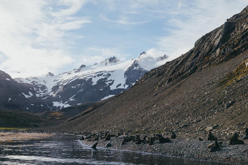 _21A0017.jpg