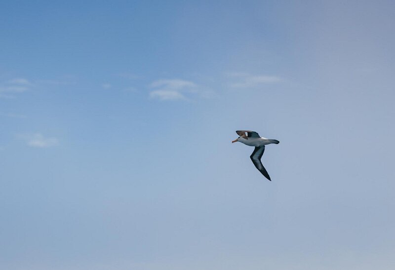 _21A7470.jpg