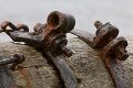 _MG_5179 2