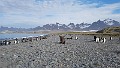 20171130_171247-adrianw