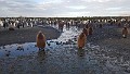 20171130_173400-adrianw