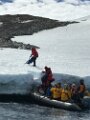Joinville Island - ski