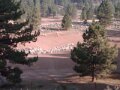 2009 Boca Reservoir Camping