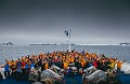 2017-11-12-Antarctica