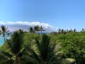 2021-08-Maui